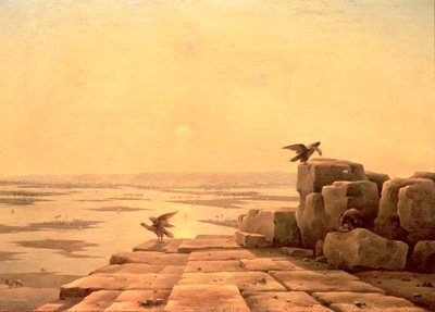 Überschwemmung des Nils, 1842 von Grigory Tchernezov